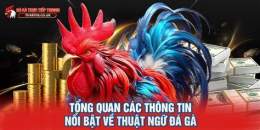 tính năng nổi bật sách về gà đá