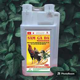 tính năng nổi bật sâm cho gà đá
