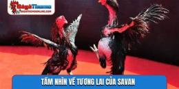 tính năng nổi bật savan đá gà