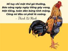 tính năng nổi bật thơ về gà đá