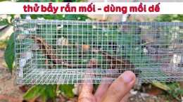 tính năng nổi bật thử đặt bẫy rắn | nỗi da gà với con rắn này