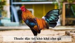 tính năng nổi bật thuoc dac tri kho khe cho ga da