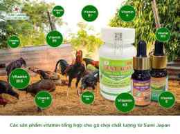 tính năng nổi bật thuốc vitamin cho gà đá