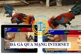 tính năng nổi bật tiếp đá gà mạng