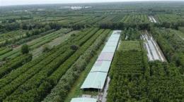 tính năng nổi bật trại gà đá hậu giang