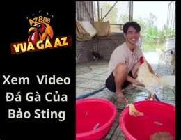 tính năng nổi bật trang đá gà thomo uy tín nhất