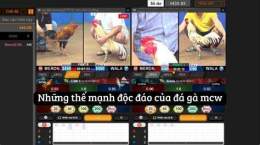 tính năng nổi bật truc tiep đá gà cpc 4