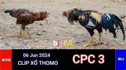 tính năng nổi bật trực tiếp đá gà tho mo c3