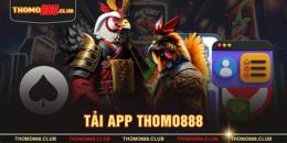 tính năng nổi bật trực tiếp đá gà thomo88