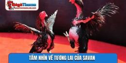 tính năng nổi bật trường đá gà savan