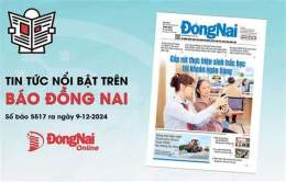 tính năng nổi bật vụ án đồng nai gần đây tháng 9 2026