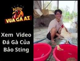 tính năng nổi bật vua gà az trang trực tiếp đá gà số 1 việt nam