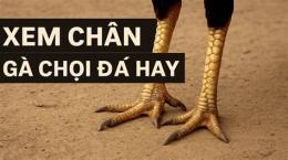tính năng nổi bật xem chan ga da