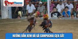 tính năng nổi bật xem da ga campuchia.com