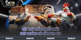 tính năng nổi bật xem đá gà đắk puer 888
