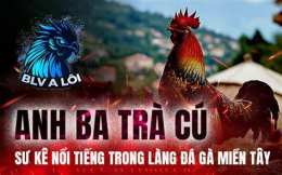 tính năng nổi bật xem đá gà miền bắc