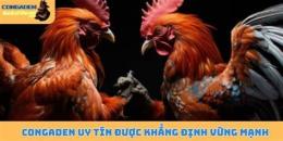 tính năng nổi bật xem đá gà trực tiếp cpc2 congaden com