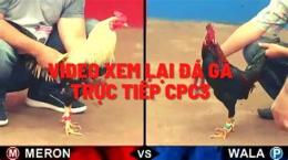 tính năng nổi bật xem lại đá gà ngày hôm nay