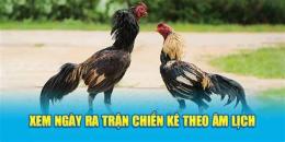 tính năng nổi bật xem ngày ra trận gà đá