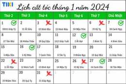 tính năng nổi bật xem ngày tốt xấu đem gà đi đá