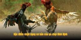 tính năng nổi bật xem video da ga choi binh dinh