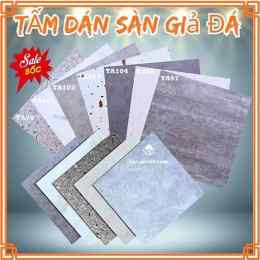 toi tham gia da ga