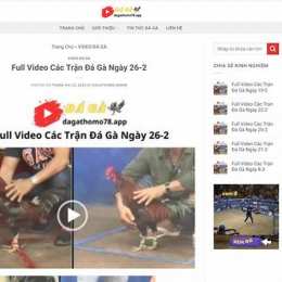 tong hop đá gà sabong67