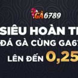 top nhà cái đá gà online uy tín