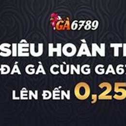top nhà cái đá gà uy tín link