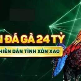 trận đá gà 24 tỷ trực tiếp
