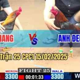 trận gà đá giải duyên ti