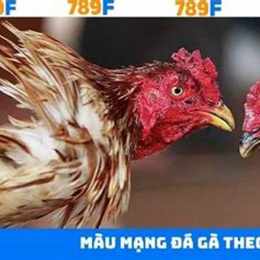 trang đá gà độ la 789