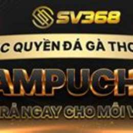 trang nhà cái đá gà thomo