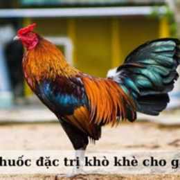 tri benh kho khe cho ga da