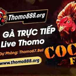 trực tiếp bình luận đá gà