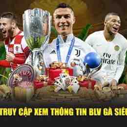 trực tiếp bóng đá blv gà vàng