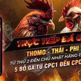trực tiếp đá gà 88 cựa dao