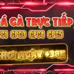 trực tiếp đá gà c1 hôm qua