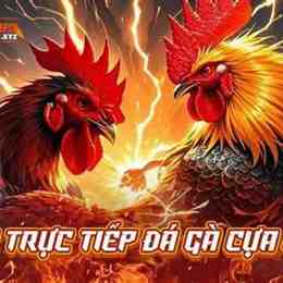 truc tiep da ga c1c2