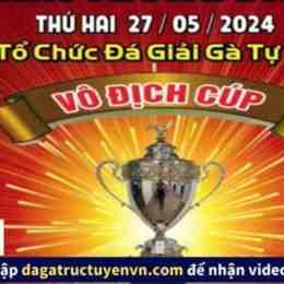 trực tiếp đá gà c3 27 5 trận 54