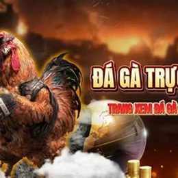 trực tiếp đá gà c3 hôm nay đăng black