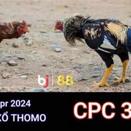trực tiếp đá gà c3 ngày 15 tháng 4