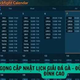 trực tiếp đá gà c3 tran 21