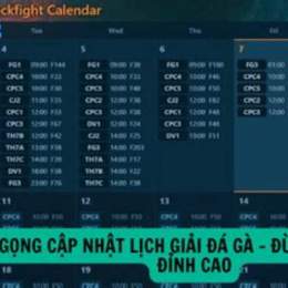 trực tiếp đá gà c3 tran 22