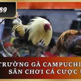 trực tiếp đá gà ga6789 phường 13 quan 4