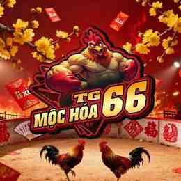 trực tiếp da gà mộc bài