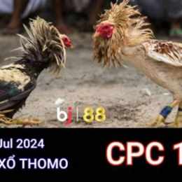 trực tiếp đá gà thomo 23 tháng 7