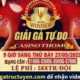 trực tiếp đá gà thomo 27 tháng 5