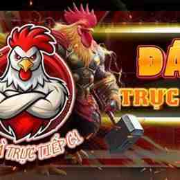 trực tiếp đá gà tre 4