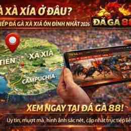 trực tiếp đá gà xa xía